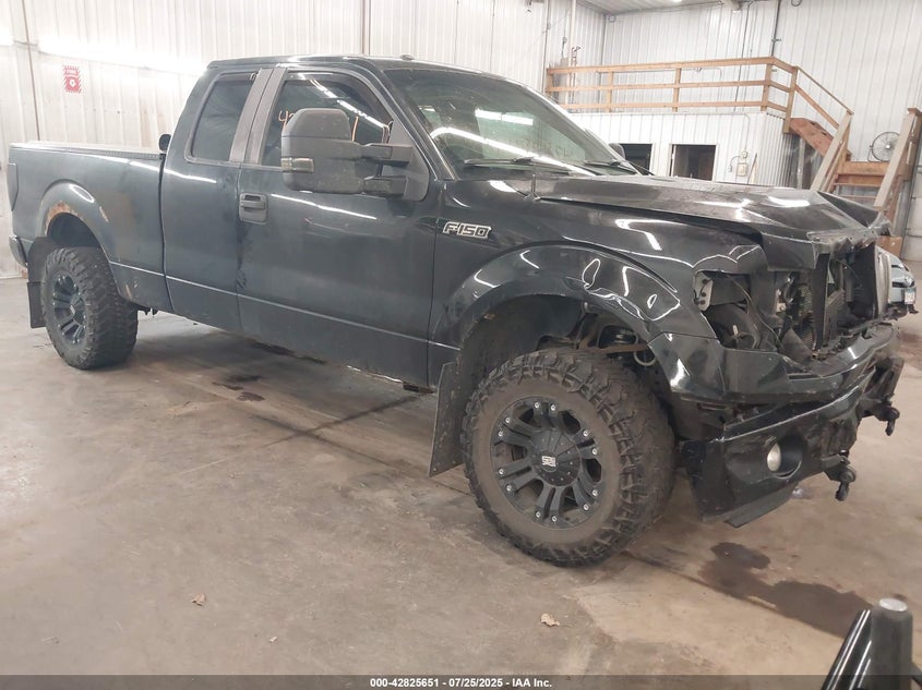1FTFX1EF1CFD09776 2012 Ford F-150 Stx auction photo 1