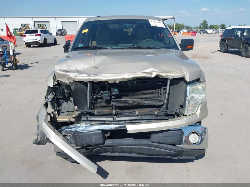 1FTEW1C85AFD86229 2010 FORD F-150 photo no. 12
