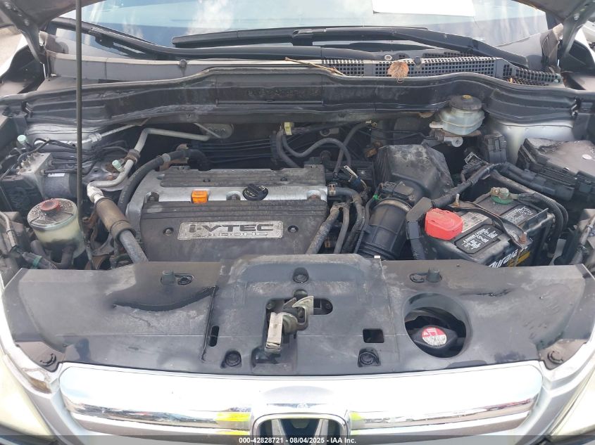 2007 Honda Cr-V Ex-L VIN: 5J6RE487X7L005596 Lot: 42828721