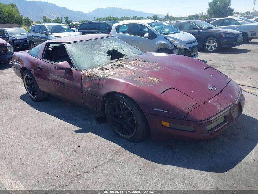 1G1YY23PXP5119678 1993 Chevrolet Corvette auction photo 1