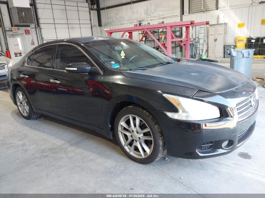 2010 Nissan Maxima 3.5 Sv VIN: 1N4AA5AP5AC834118 Lot: 42836749