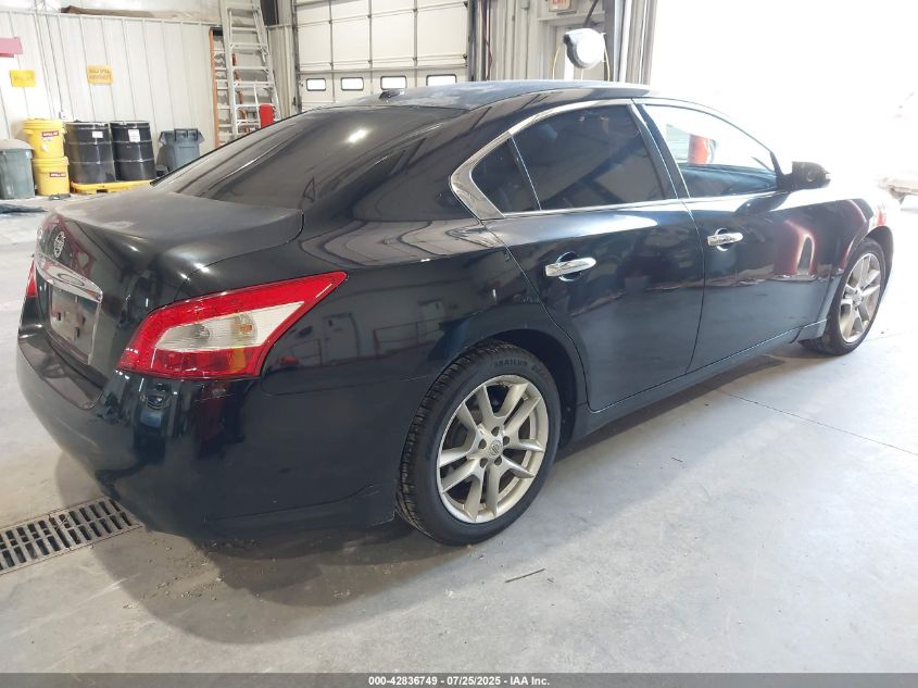 2010 Nissan Maxima 3.5 Sv VIN: 1N4AA5AP5AC834118 Lot: 42836749