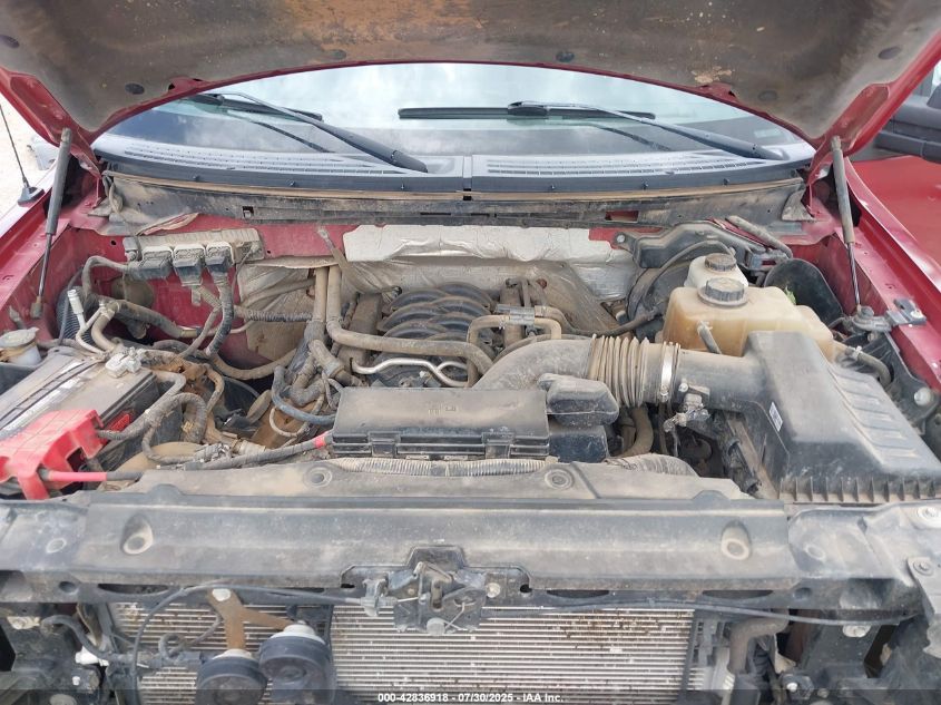 2013 Ford F-150 Xlt VIN: 1FTFX1EF6DFB85974 Lot: 42836918