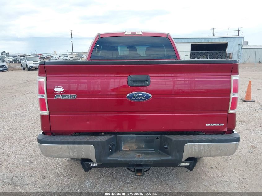 2013 Ford F-150 Xlt VIN: 1FTFX1EF6DFB85974 Lot: 42836918