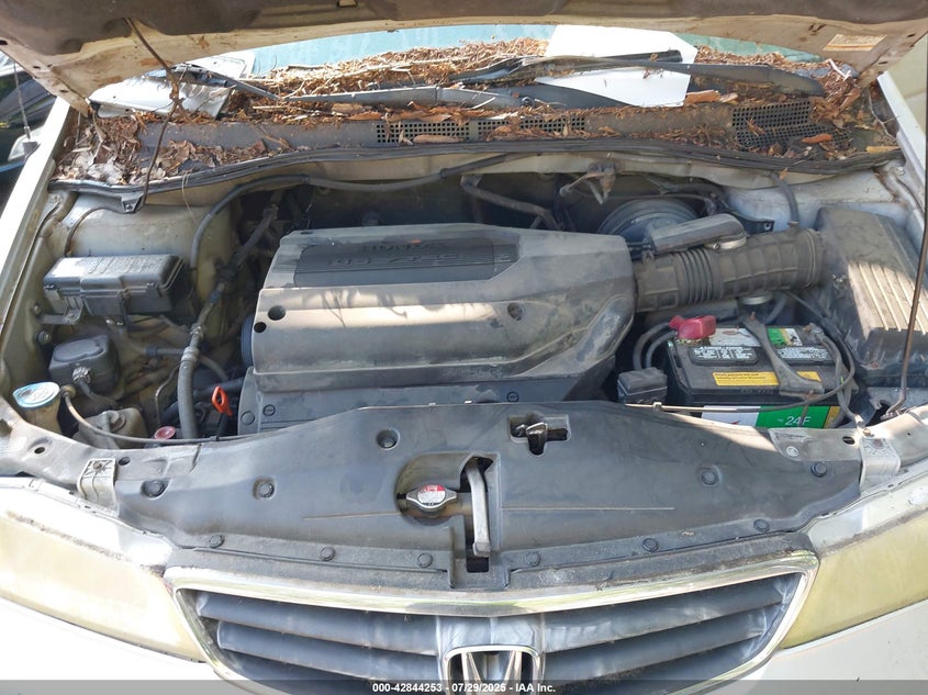 2004 Honda Odyssey Ex VIN: 5FNRL18814E128818 Lot: 42844253