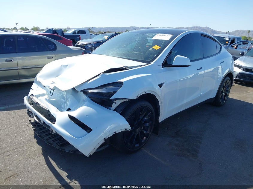 2021 Tesla Model y Other Lot 111042850133 Vin 5YJYGDEE7MF295602