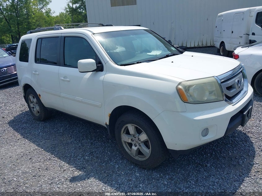 5FNYF4H42BB057255 2011 Honda Pilot Ex auction photo 1