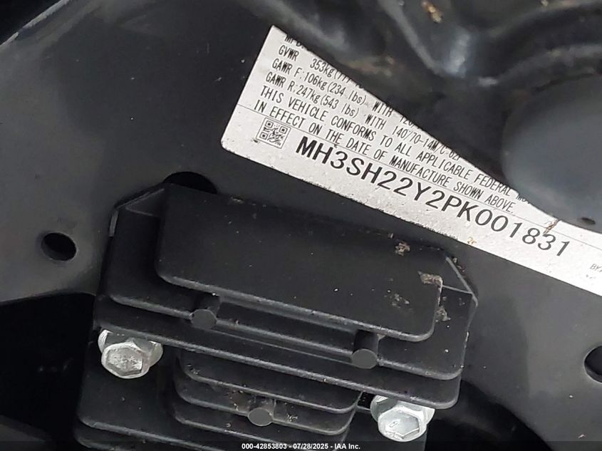 2023 Yamaha Czd300 A VIN: MH3SH22Y2PK001831 Lot: 42853803