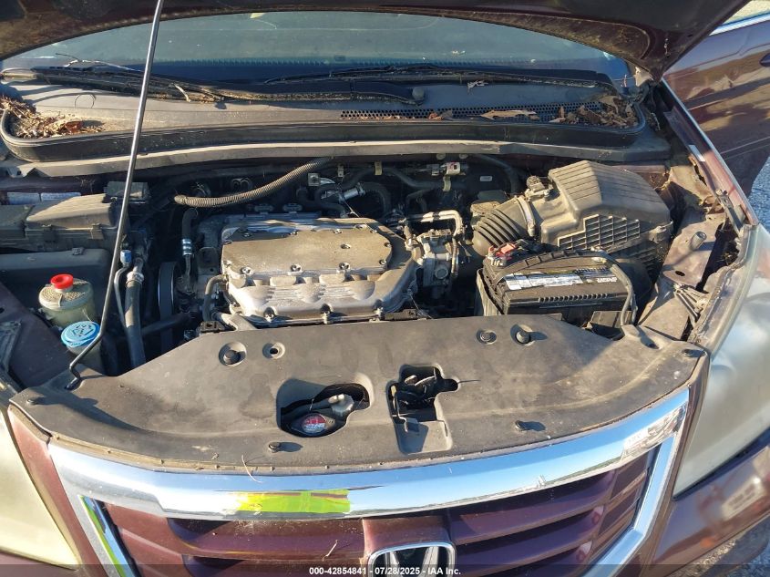 2009 Honda Odyssey Ex-L VIN: 5FNRL38719B402660 Lot: 42854841