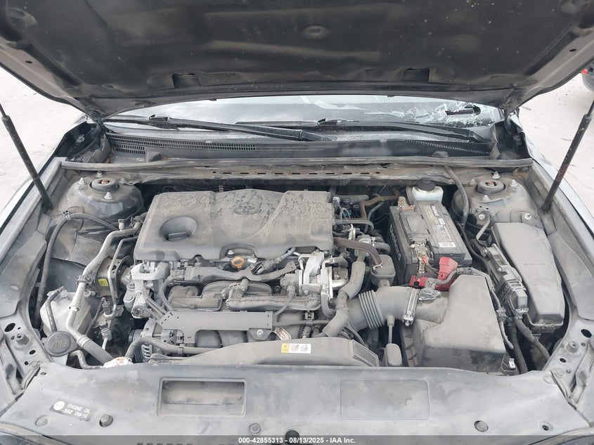 2019 Toyota Camry Se VIN: 4T1B11HK2KU833243 Lot: 42855313