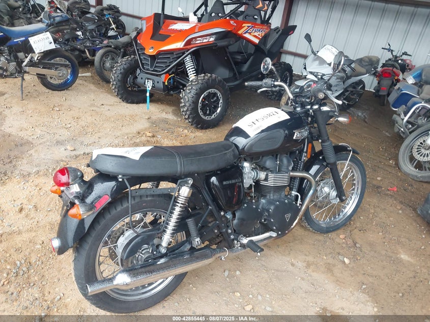 2013 TRIUMPH MOTORCYCLE BONNEVILLE T100 - SMT910K10DT582942