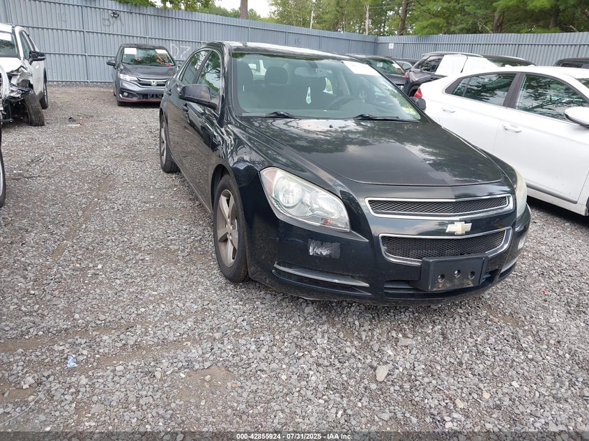 1G1ZC5E12BF160211 2011 Chevrolet Malibu 1Lt auction photo 1
