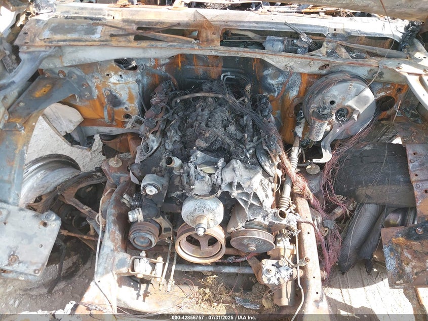 2004 Chevrolet Silverado 1500 VIN: 1GCEK192847217398 Lot: 42856757