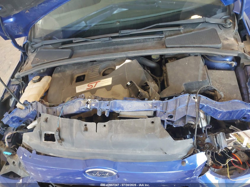 2013 FORD FOCUS ST - 1FADP3L94DL243233