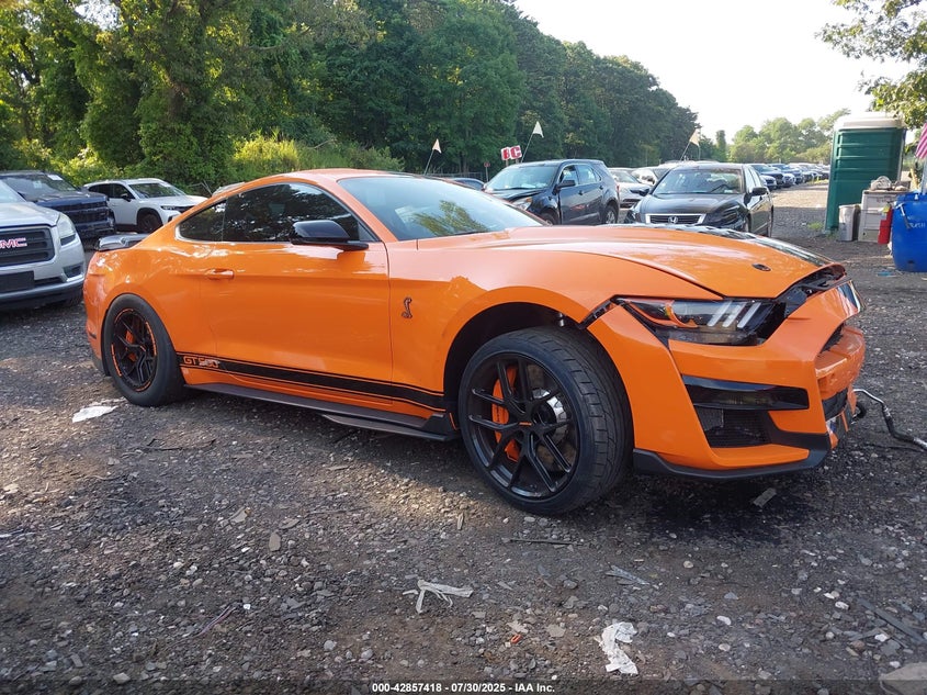 2021 FORD MUSTANG SHELBY GT500 FASTBACK - 1FA6P8SJ9M5504054