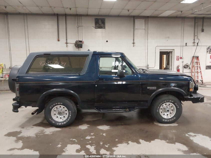 1996 Ford Bronco U100 VIN: 1FMEU15N3TLB57766 Lot: 42857494