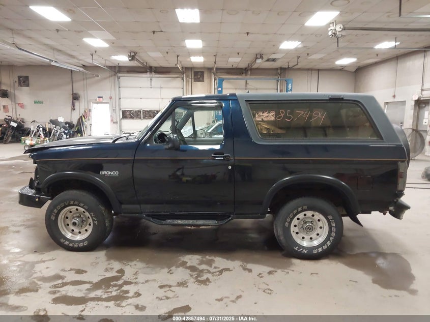 1996 Ford Bronco U100 VIN: 1FMEU15N3TLB57766 Lot: 42857494