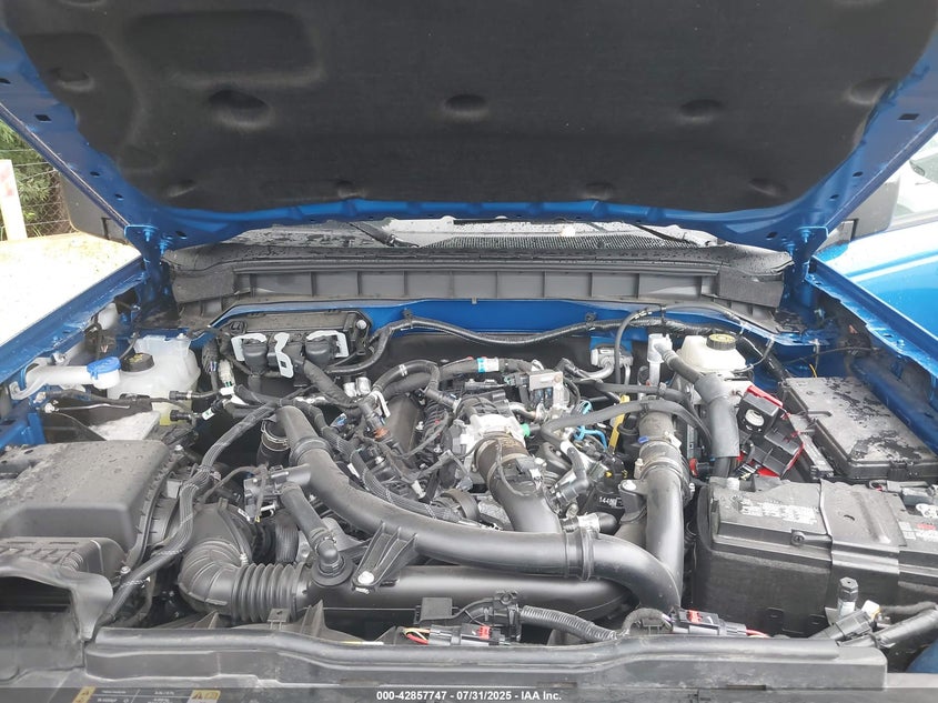 2024 FORD BRONCO BADLANDS - 1FMEE9BP6RLB21192