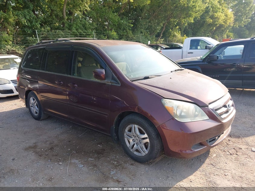 5FNRL38417B084560 2007 Honda Odyssey Ex auction photo 1