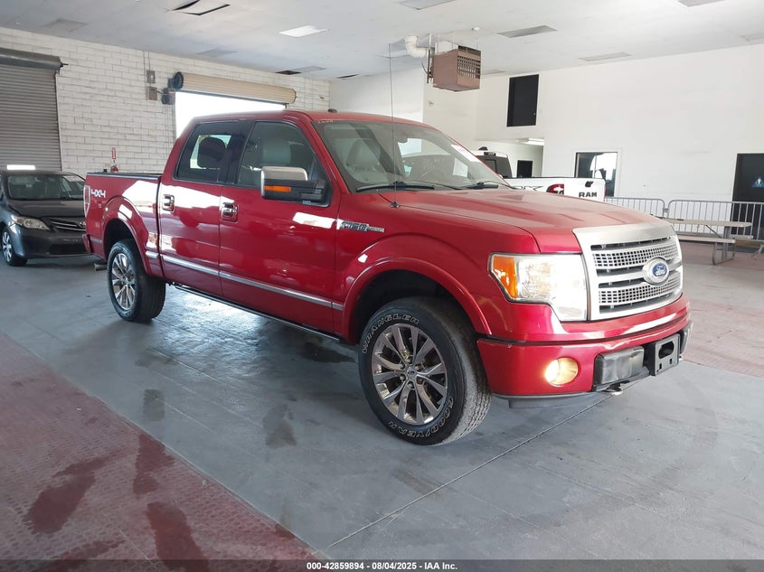 Vin: 1ftfw1ef2bfa34873, lot: 43353479, ford f-150 platinum 2011 img_1