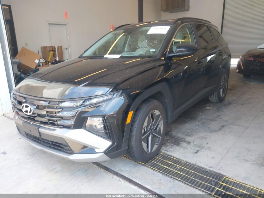 2025 Hyundai Tucson Sel VIN: 5NMJBCDE6SH491215 Lot: 42865061