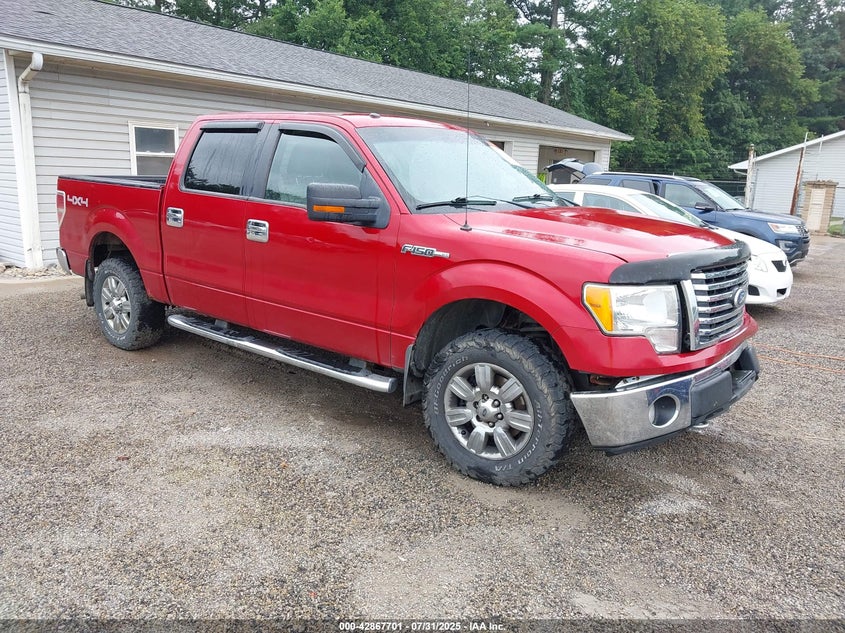 1FTFW1EV5AFD63895 2010 Ford F-150 Fx4/Harley-Davidson/King Ranch/Lariat/Platinum/Xl/Xlt auction photo 1