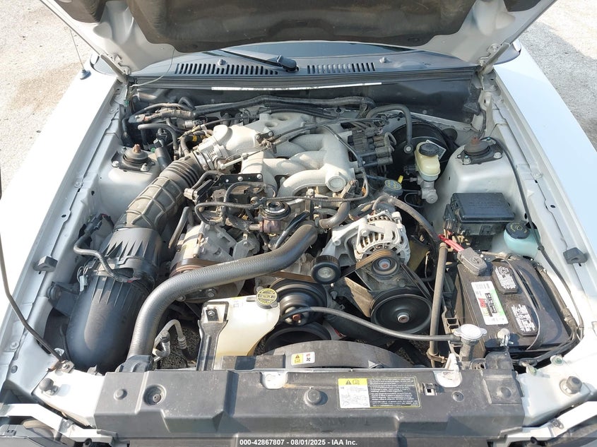 2004 Ford Mustang VIN: 1AFP44644F133509 Lot: 42867807