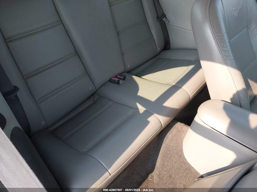 2004 Ford Mustang VIN: 1AFP44644F133509 Lot: 42867807