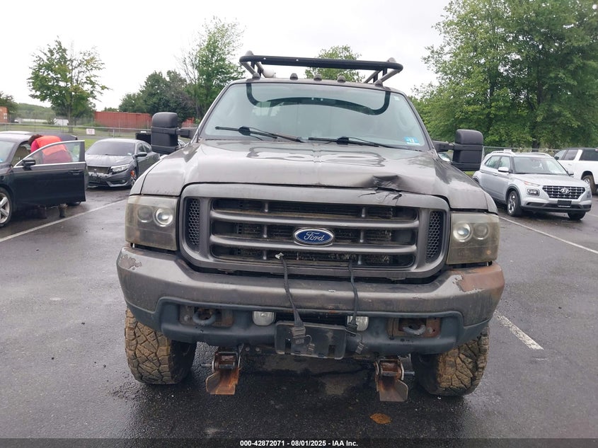 2004 Ford F-250 Lariat/Xl/Xlt VIN: 1FTNX21L34EB06828 Lot: 42872071