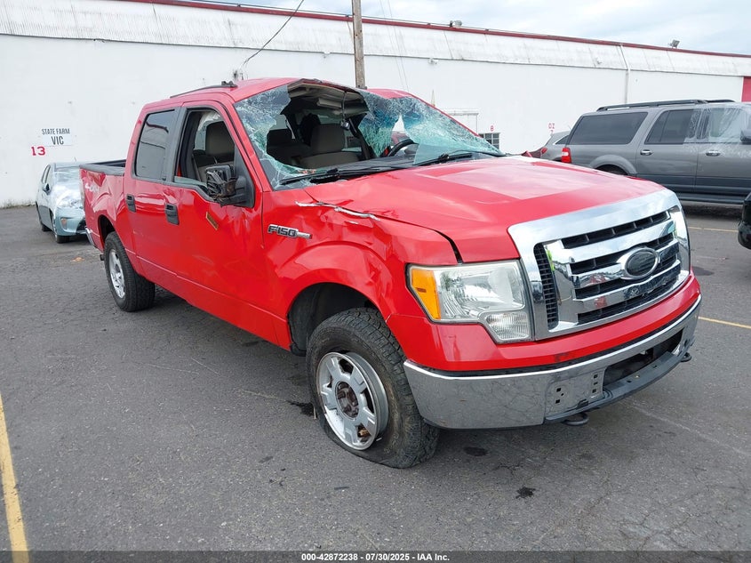 1FTRW14849FA17275 2009 Ford F-150 Xl/Xlt auction photo 1