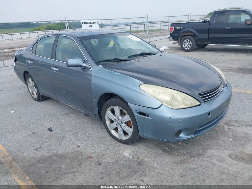 JTHBA30G855109819 2005 LEXUS ES photo no. 7