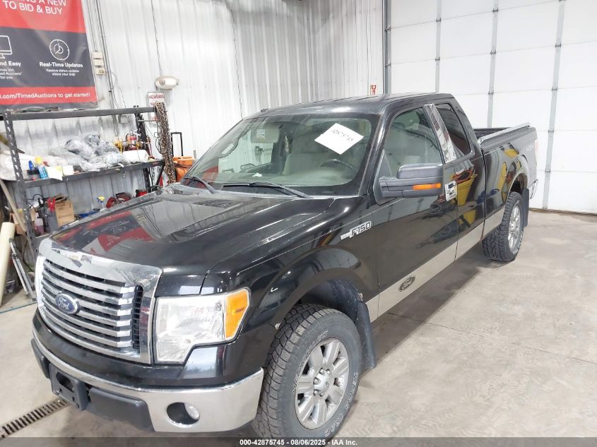 2010 Ford F-150 Fx4/Lariat/Xl/Xlt VIN: 1FTFX1EV5AFB46800 Lot: 42875745