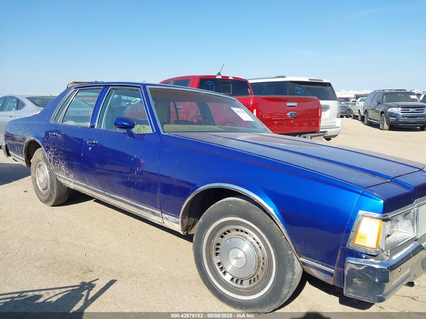 1977 CHEVROLET CAPRICE | 1N69L7S188965