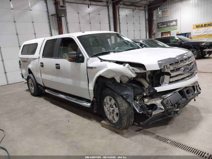 2010 Ford F-150 Xlt VIN: 1FTFW1EV2AFD18834 Lot: 42887493