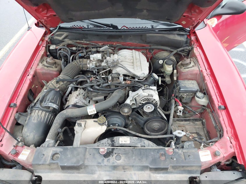 1998 Ford Mustang VIN: 1FAFP404XWF108265 Lot: 42889552