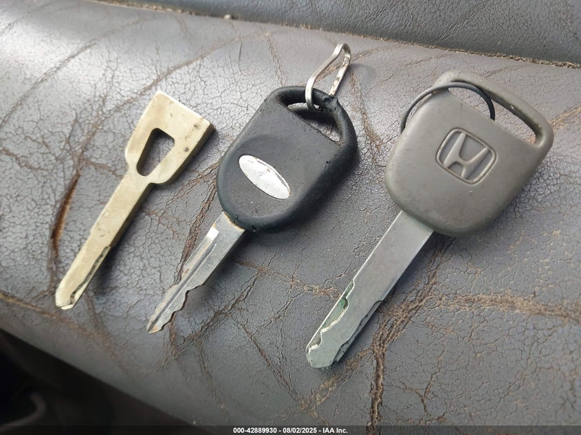 2003 Honda Odyssey Ex-L VIN: 5FNRL18983B006688 Lot: 42889930