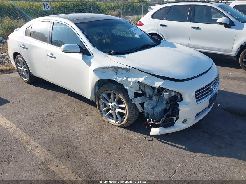 1N4AA5AP7BC845106 2011 Nissan Maxima 3.5 Sv auction photo 1
