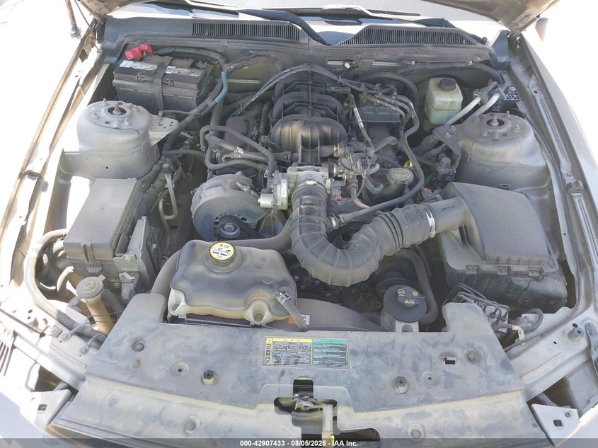 2005 Ford Mustang VIN: 1ZVHT84N255195346 Lot: 42907433