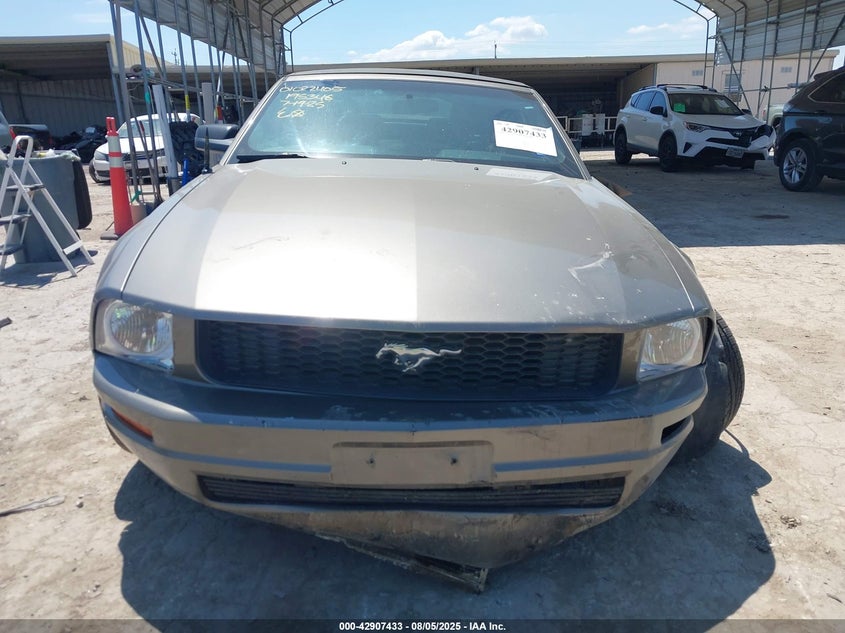 2005 Ford Mustang VIN: 1ZVHT84N255195346 Lot: 42907433