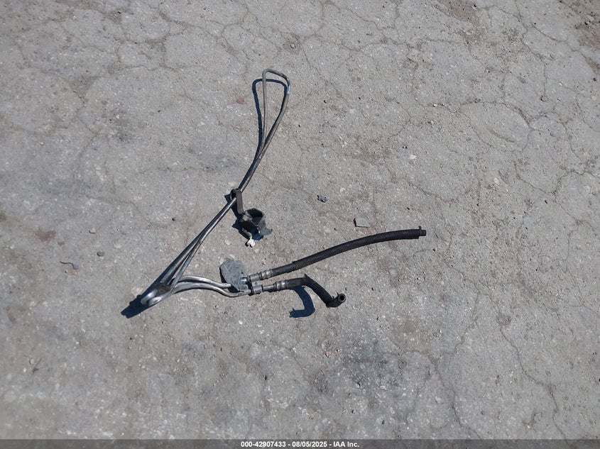 2005 Ford Mustang VIN: 1ZVHT84N255195346 Lot: 42907433