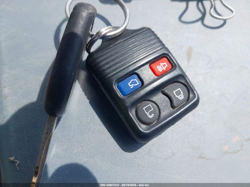 2005 Ford Mustang VIN: 1ZVHT84N255195346 Lot: 42907433