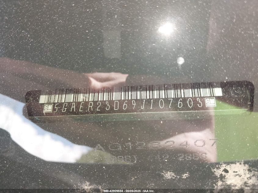 2009 Buick Enclave Cxl VIN: 5GAER23D69J107603 Lot: 42909554