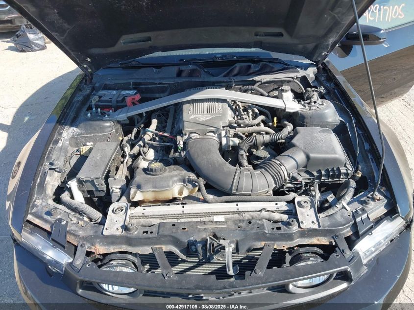 2010 Ford Mustang Gt/Gt Premium VIN: 1ZVBP8CH9A5166250 Lot: 42917105