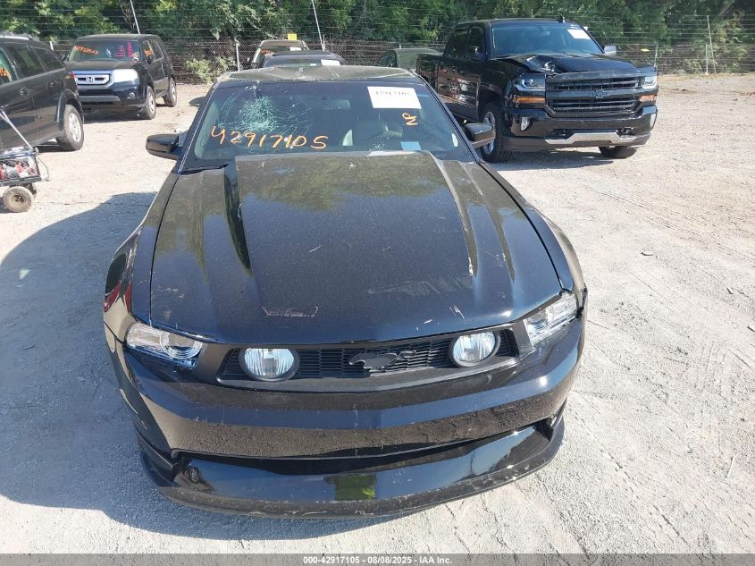 2010 Ford Mustang Gt/Gt Premium VIN: 1ZVBP8CH9A5166250 Lot: 42917105