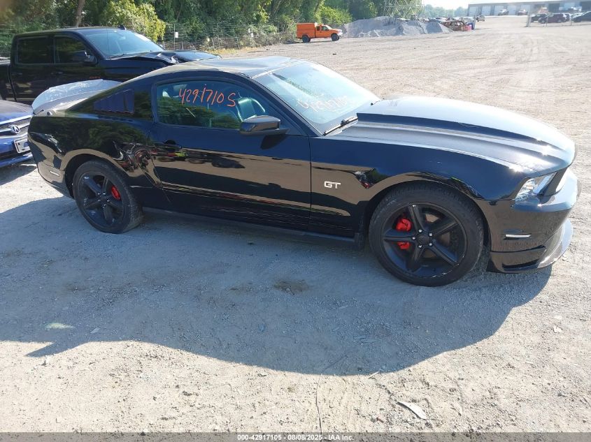 2010 Ford Mustang Gt/Gt Premium VIN: 1ZVBP8CH9A5166250 Lot: 42917105