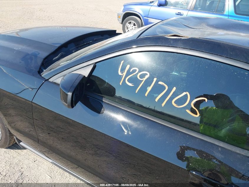 2010 Ford Mustang Gt/Gt Premium VIN: 1ZVBP8CH9A5166250 Lot: 42917105