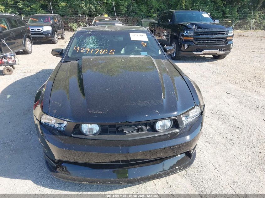 2010 Ford Mustang Gt/Gt Premium VIN: 1ZVBP8CH9A5166250 Lot: 42917105