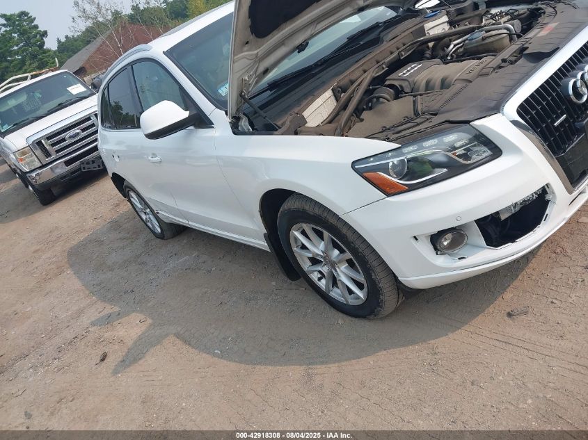 2009 Audi Q5 3.2 Premium VIN: WA1KK78R09A022774 Lot: 42918308