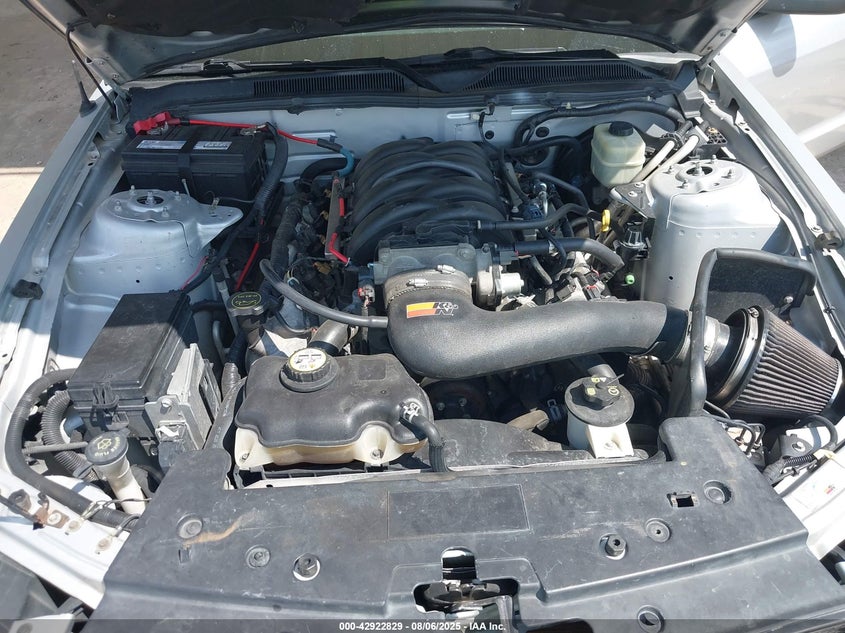 2006 Ford Mustang Gt VIN: 1ZVFT82H165144359 Lot: 42922829