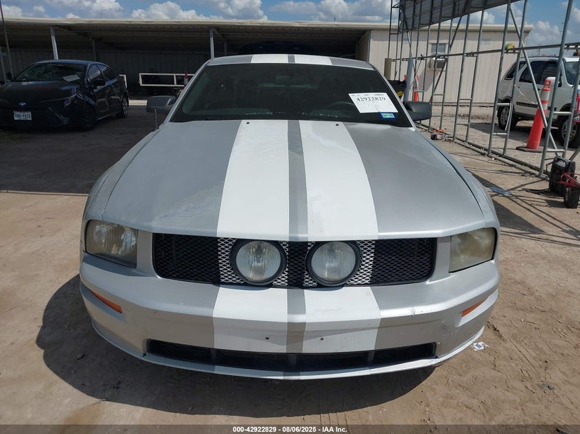 2006 Ford Mustang Gt VIN: 1ZVFT82H165144359 Lot: 42922829